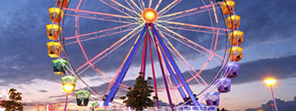 Ferris wheel lit up at night.